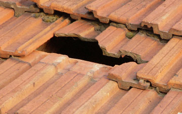 roof repair Gilmonby, County Durham